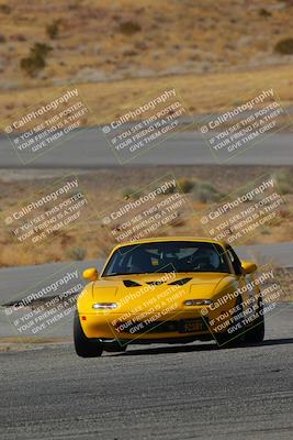 media/Feb-22-2025-Team Topak Racing (Sat) [[cb57a51a40]]/Intermediate Low1/Turns 13 and 14/
